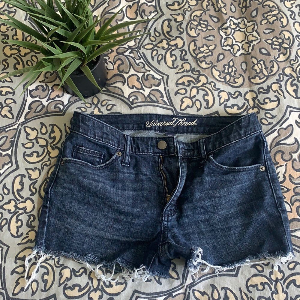 Universal Thread Shorts